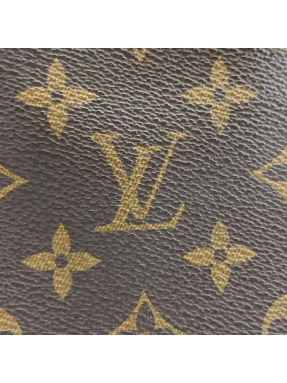 Louis Vuitton brand louis